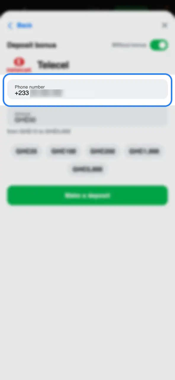 Fill in the required details for your selected 1Win deposit method.